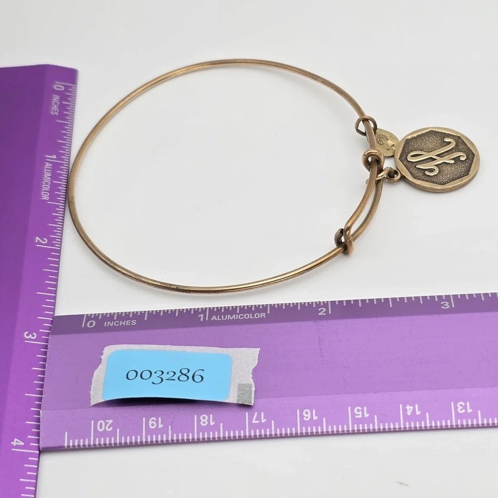 ALEX & ANI 'Initial H' Expandable Bangle Bracelet in Rafaelian Gold Made In‎ USA